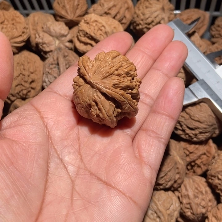 荆***鸟核桃四座楼蛇尺寸40