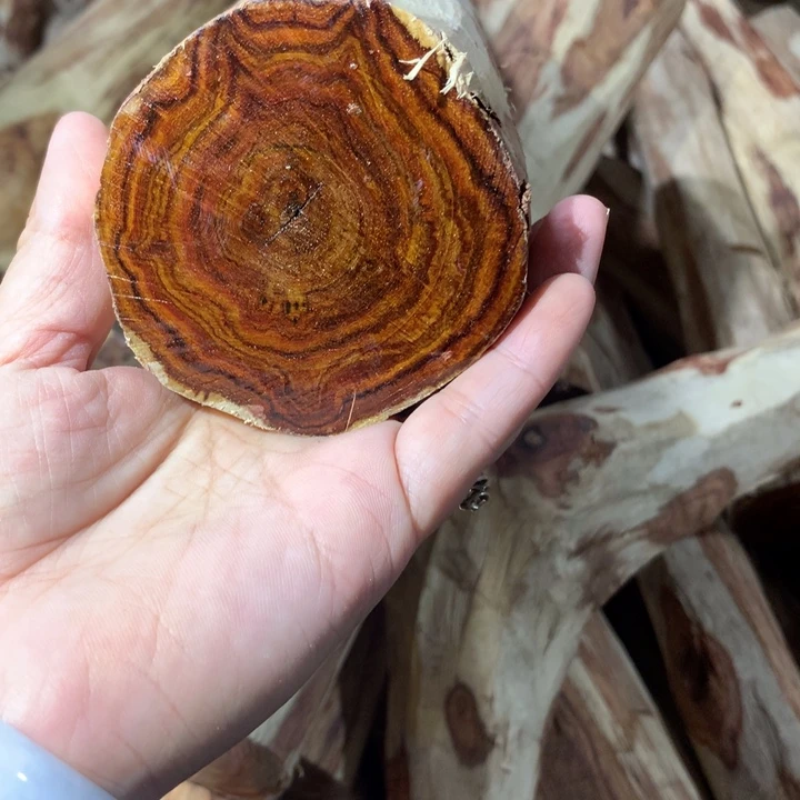 花梨木类海南黄花梨