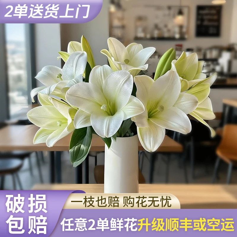 【源头优选】白铁炮香水百合花水养插花用云南直发鲜花