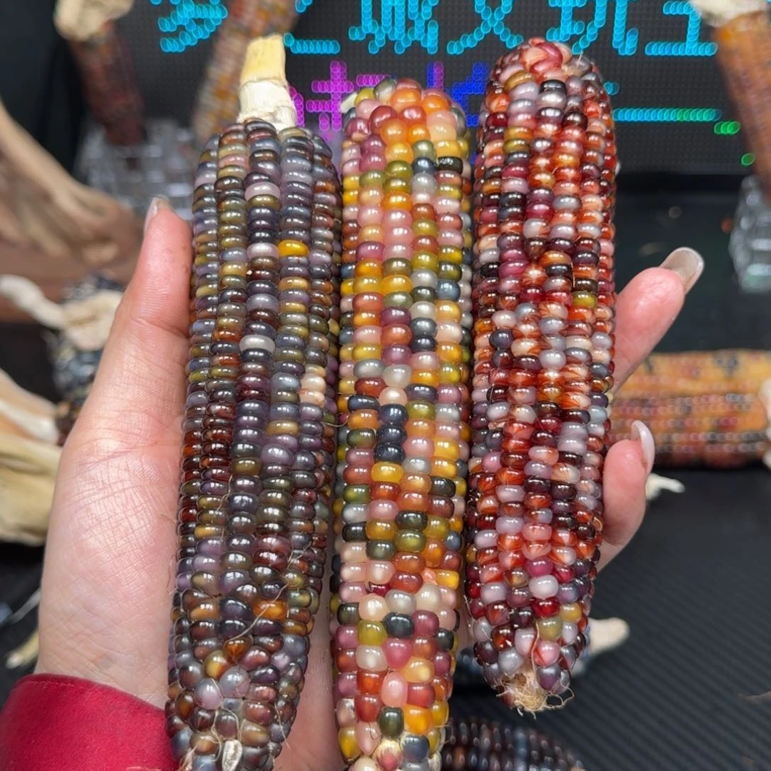 柏香籽/百香籽吊坠O*i