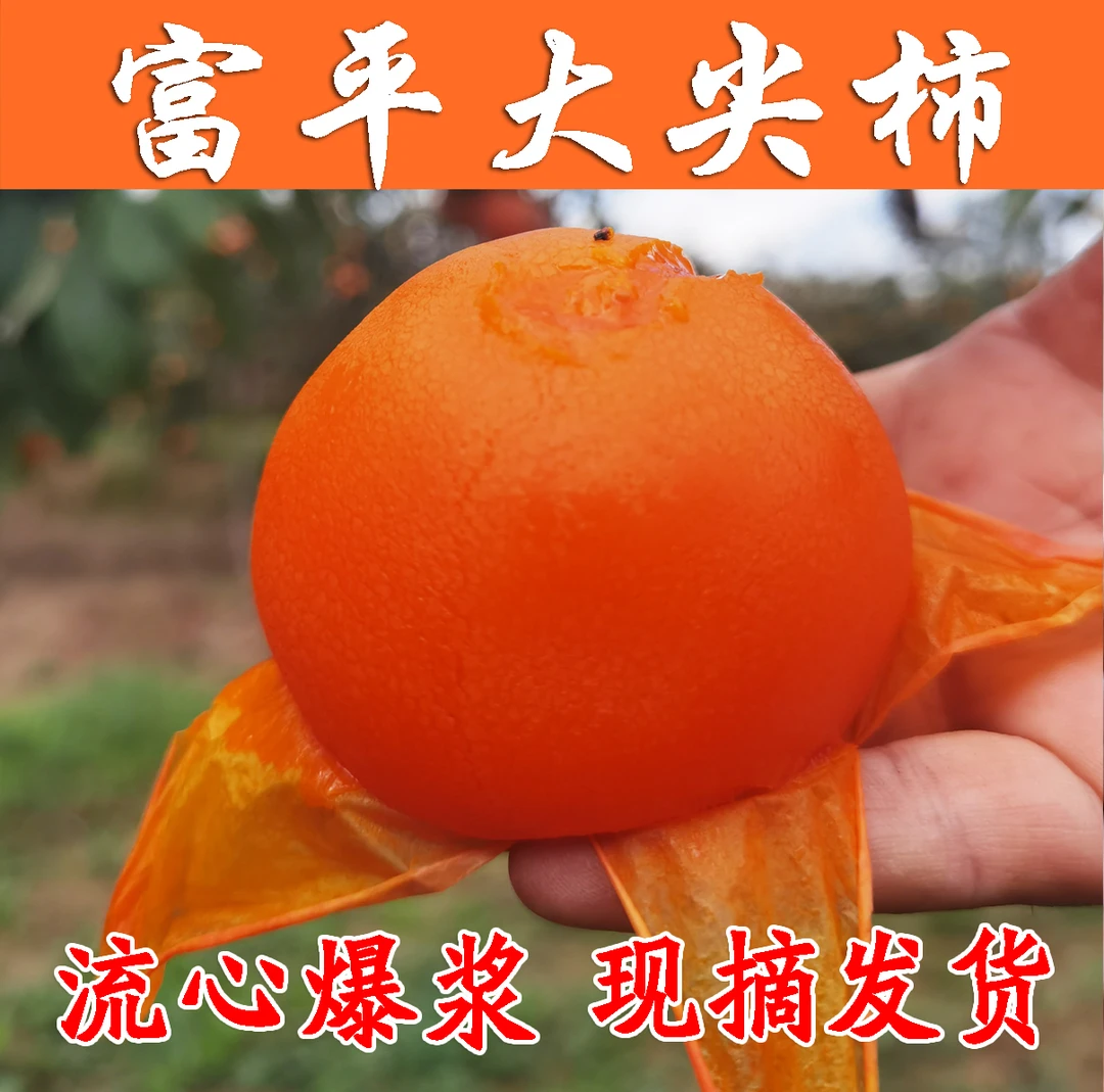 【新鲜采摘】富平流心大尖柿子，放软食用超级甜/中果 小果