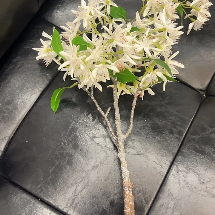 拍品大福利大福利