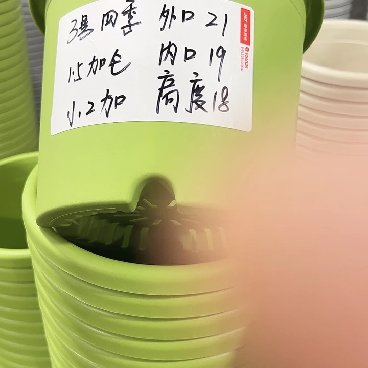 特价3号四季果绿10只无托