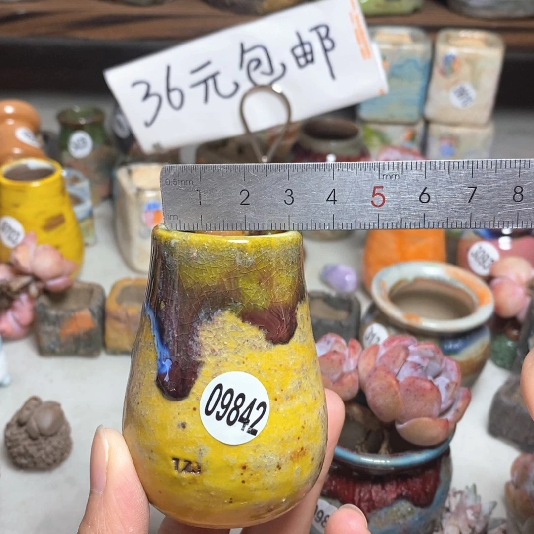 拍5送一个小礼物