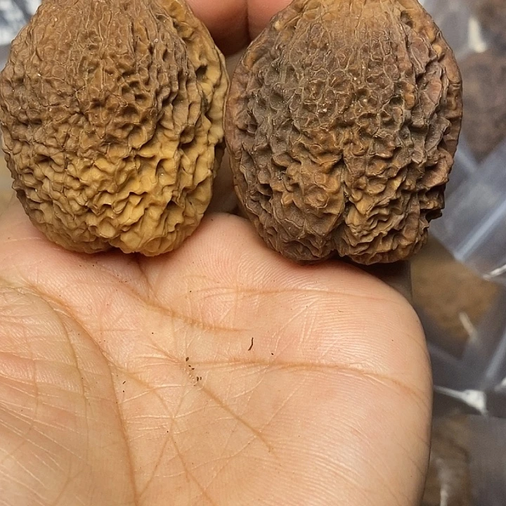 文玩核桃把件云南铁核桃49