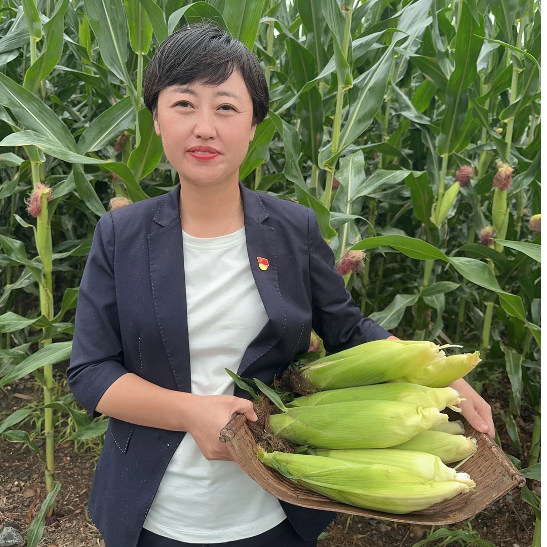 (试吃2棒)2025头茬现摘鲜玉米棒带叶东北白糯玉米10只装顺丰发货