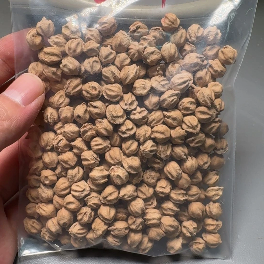 柏香籽/百香籽吊坠?****?
