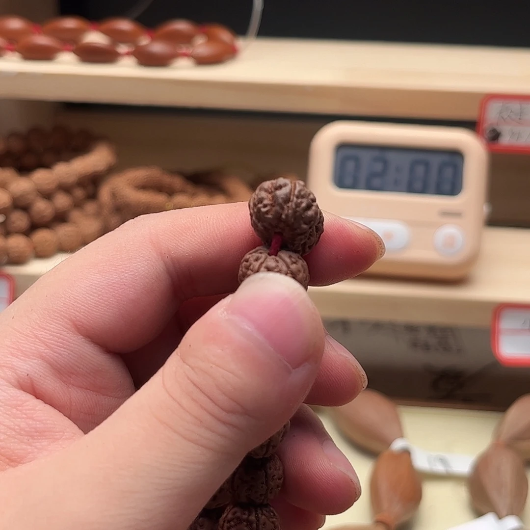 普***通吊坠金刚菩提勿里达纯血老树王带黄头
