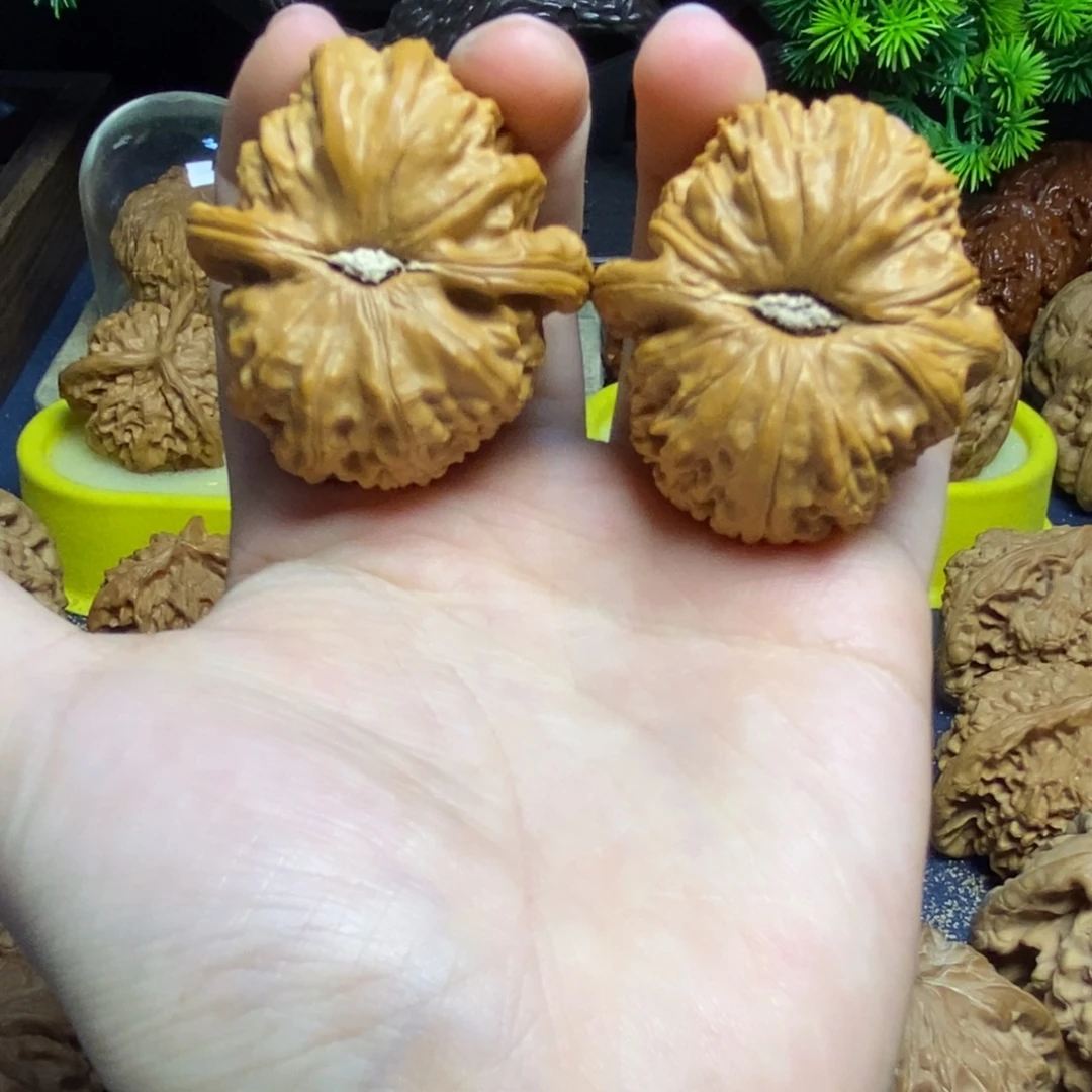 核桃核桃把件文玩白狮子10