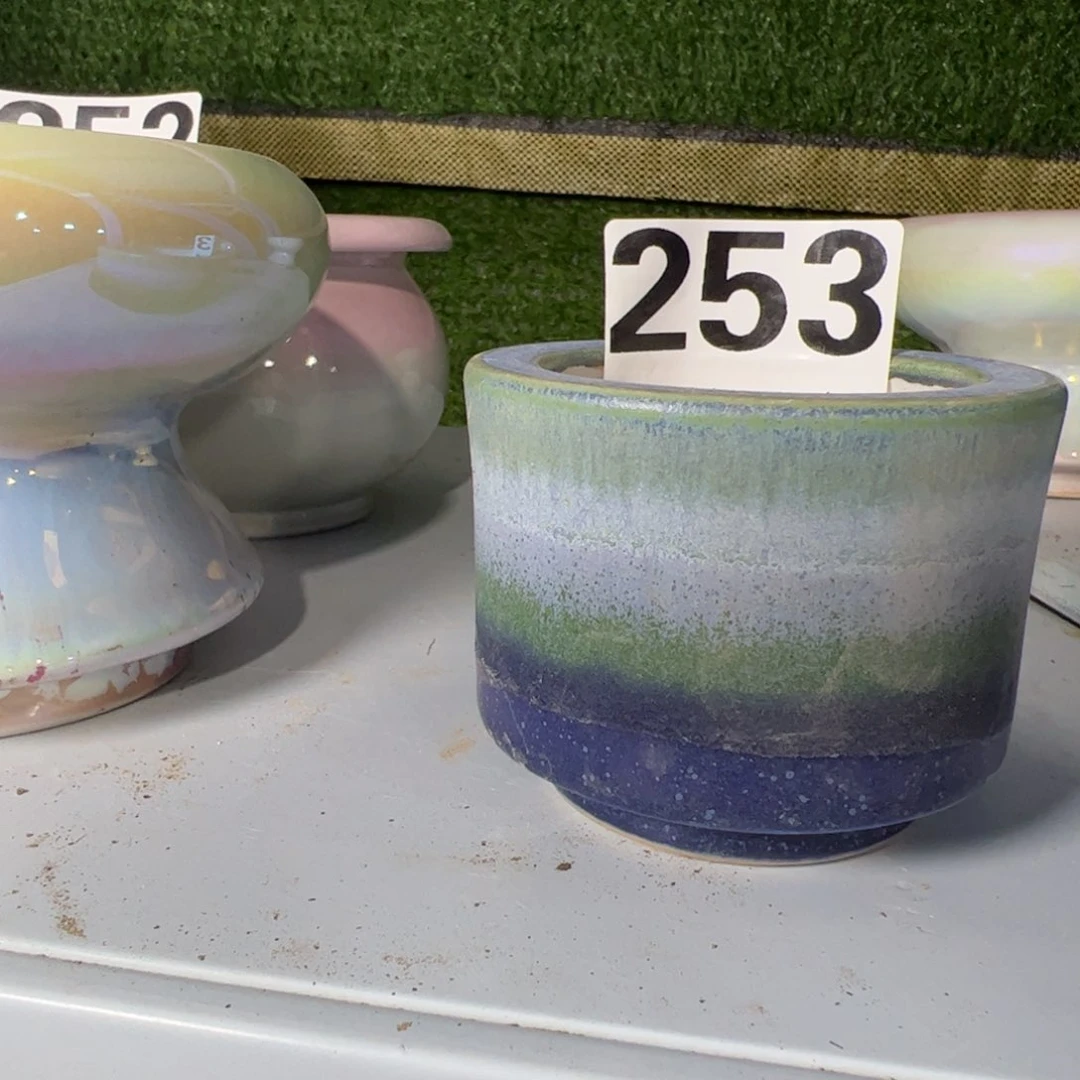 只随单介意勿拍内口9.9