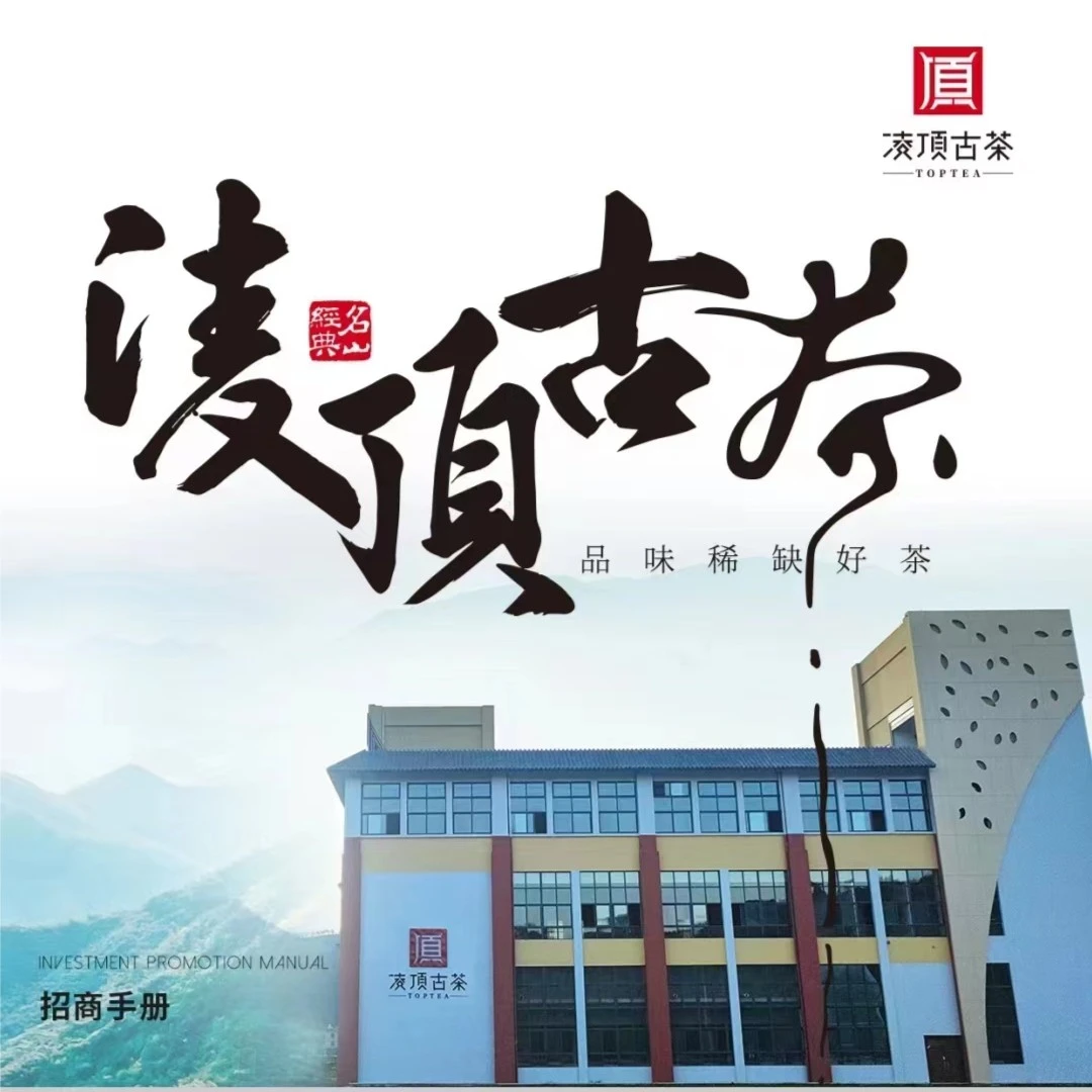 凌顶代拍 （希必奇2019年曼松王子山生茶357g 希必奇礼盒）