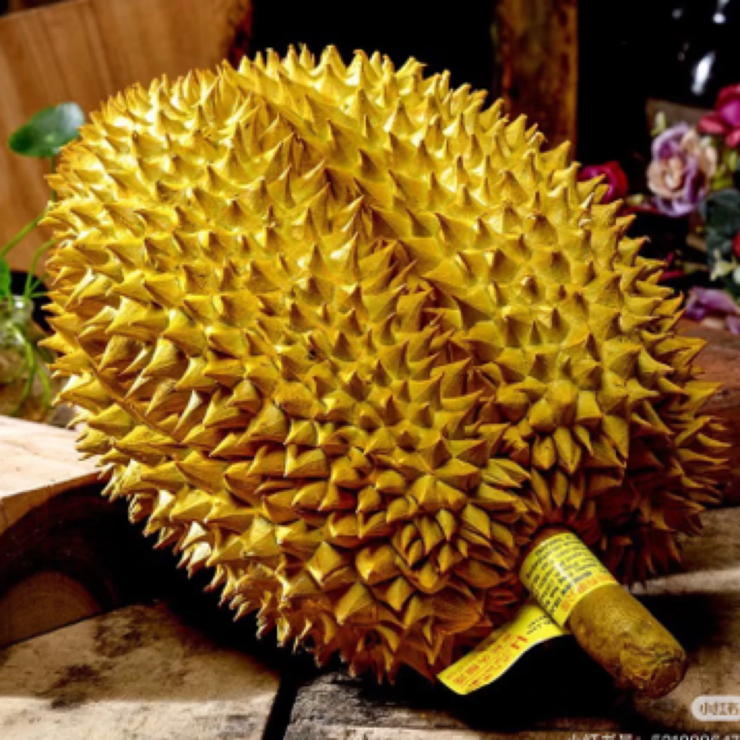 【一物一拍】泰国进口干尧榴莲新鲜整果1-5KG核小干尧泰国