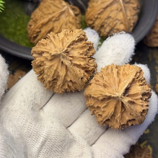 阿***6把件文玩核桃秦岭核桃23