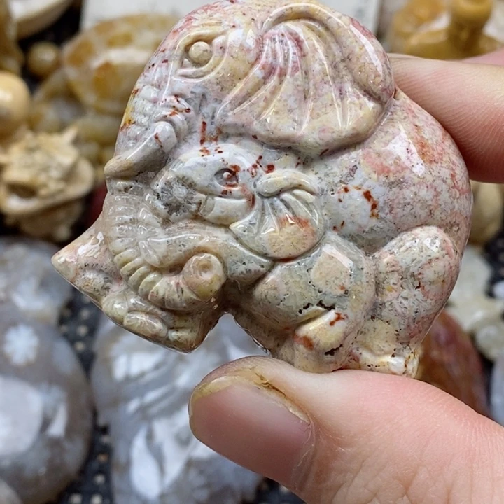 颈饰未镶嵌硅化珊瑚（珊瑚玉）有瑕