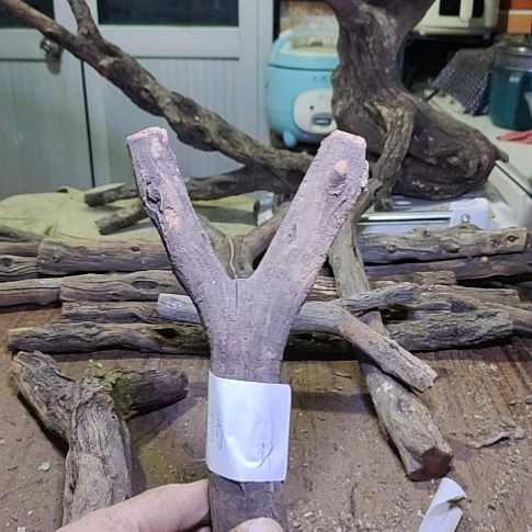 行***者火琉璃原杈，不保沉水，慎拍！