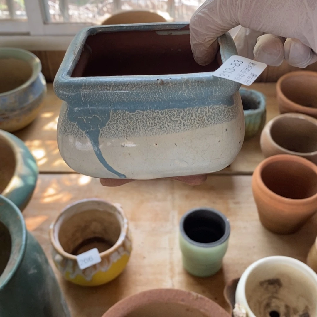 往**回83号多肉盆一个呀