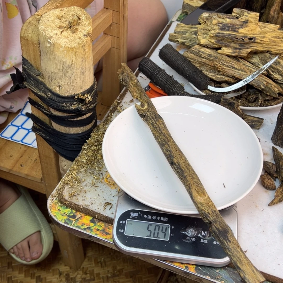 线香奇楠虫漏香50克