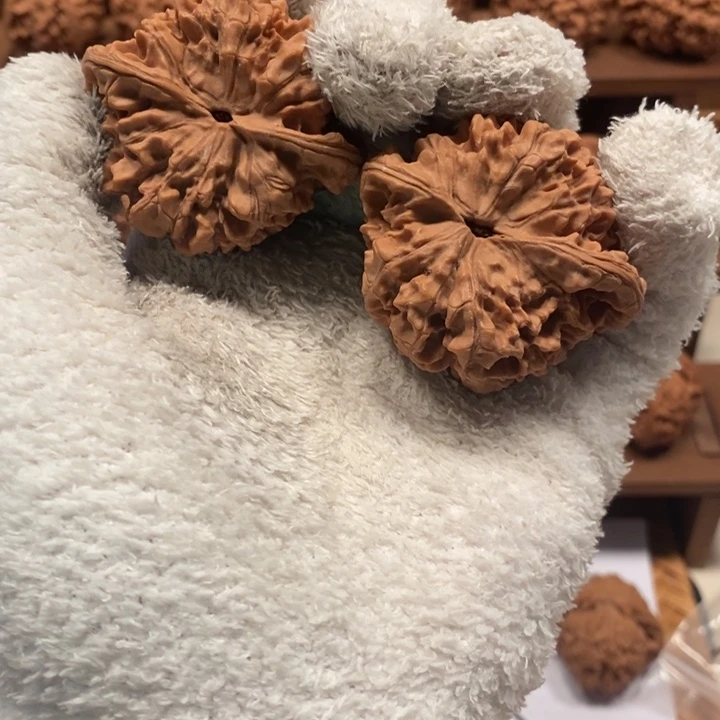 河***司50 尺寸夹板官帽核桃