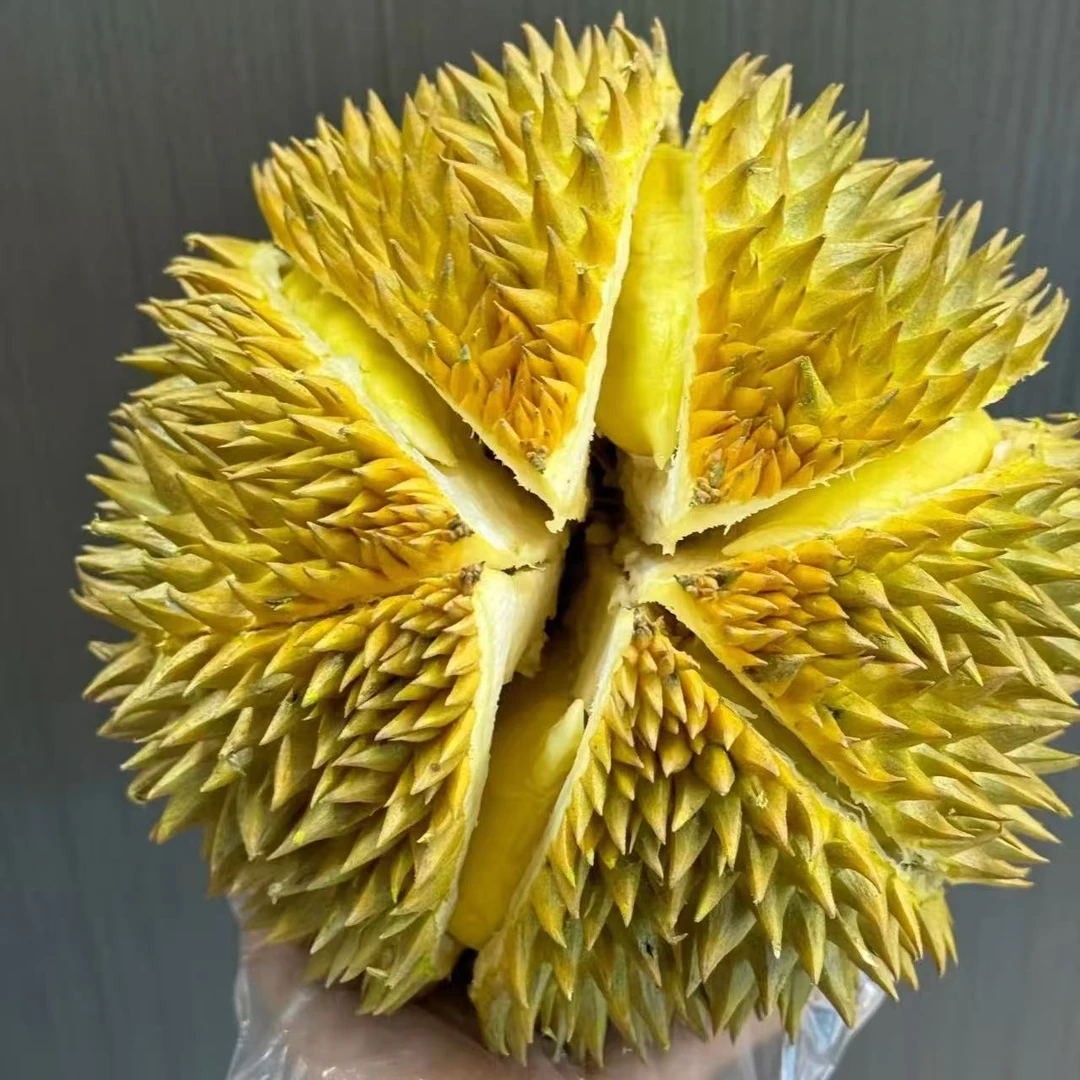 LL【一号】一物一拍泰国金枕榴莲10-15%水分蒸发请勿生切