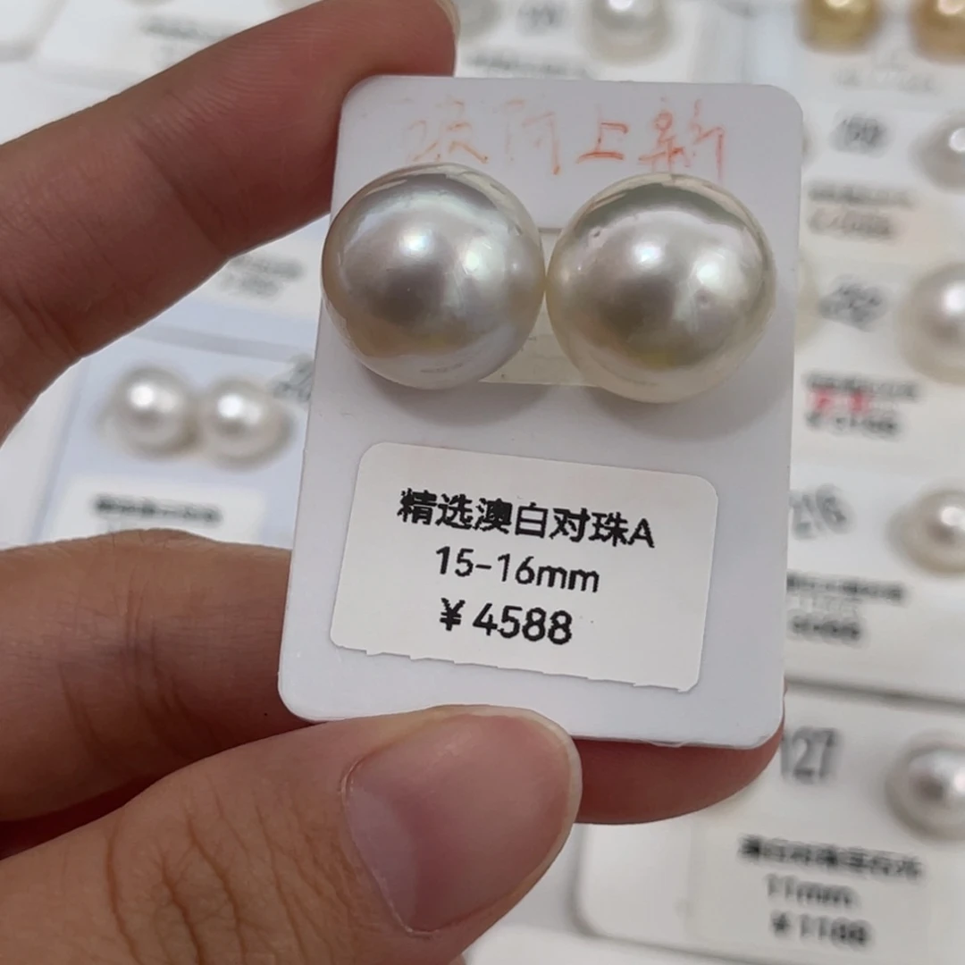 未镶嵌澳白对珠15-16m m海水珍珠