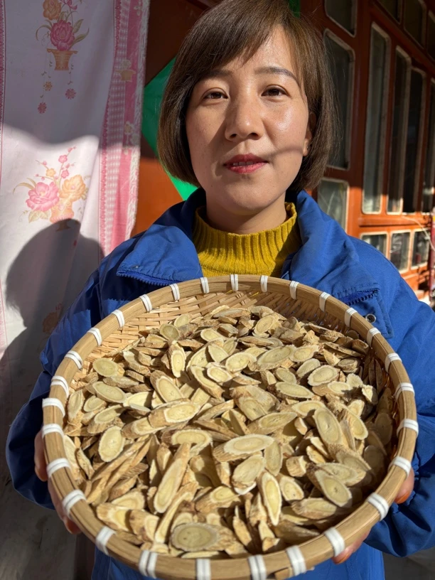 甘肃岷县精选种植黄芪主根切片小片