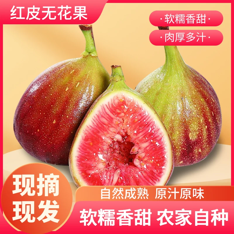【红皮无花果】无花果鲜果新鲜软糯无花果红皮无花果现采现摘