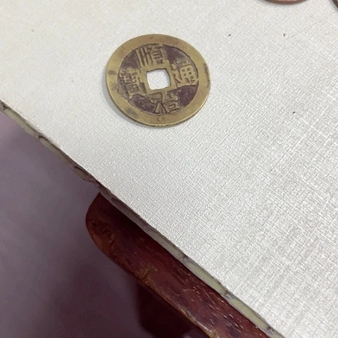 长*树一个人在家无聊55元包邮