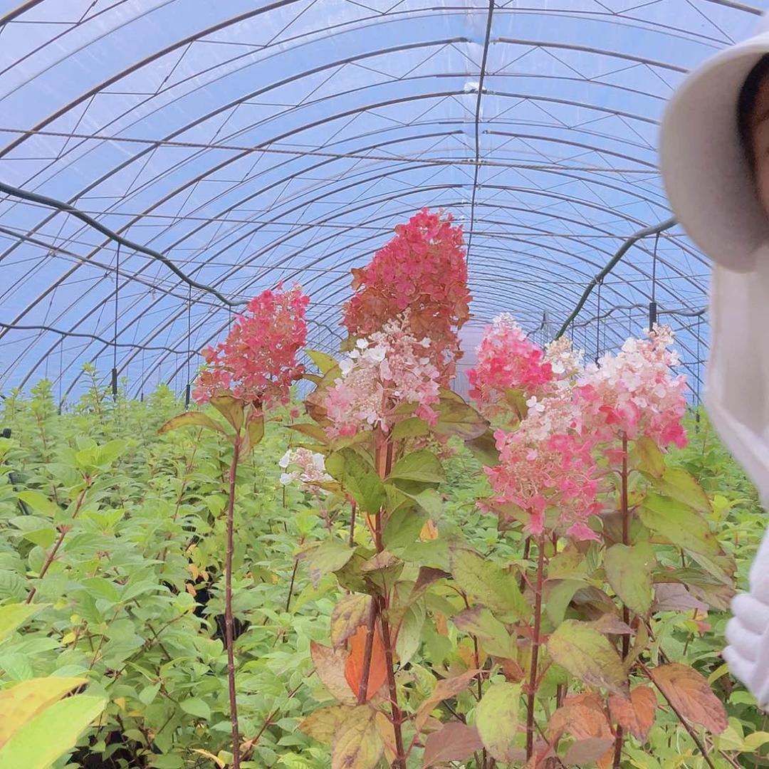 完全开放111111111111