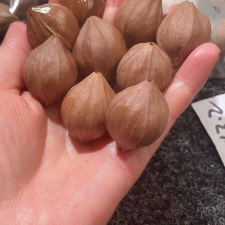 吊坠橄榄核2.4✖️3.2