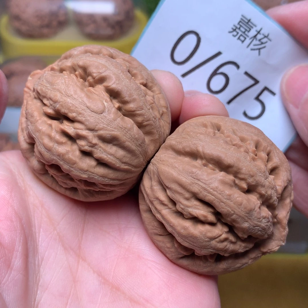 文玩核桃把件毕业肉球霸王龙41