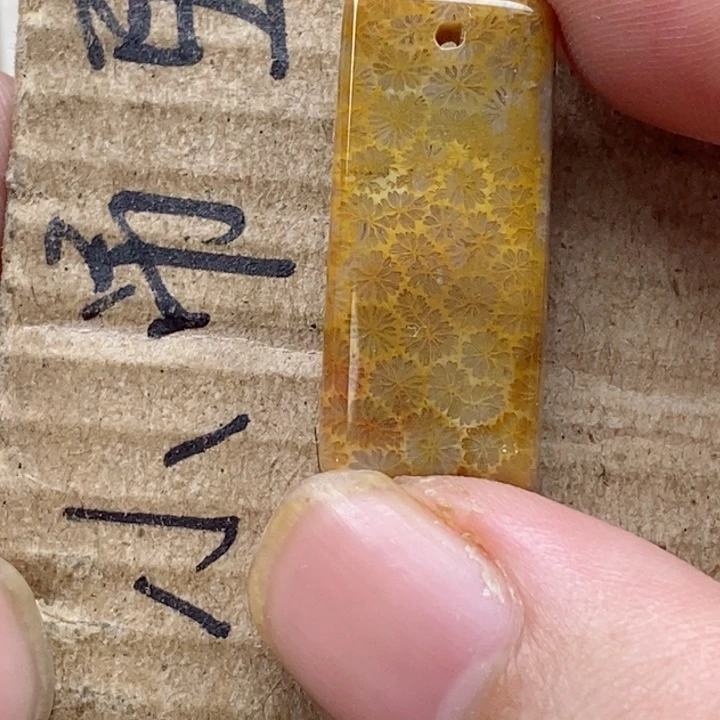 颈饰未镶嵌硅化珊瑚(珊瑚玉)乁****ㄏ