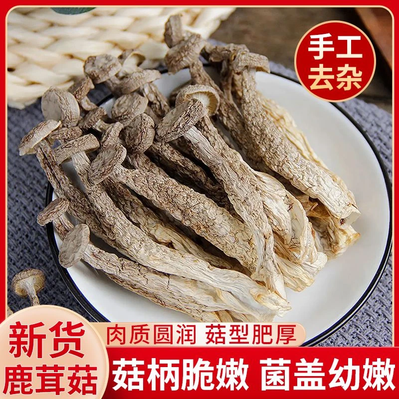 【无硫无漂白！】鹿茸菇 鹿茸菌新鲜香菇干货云南特产鹿茸菇煲汤食材