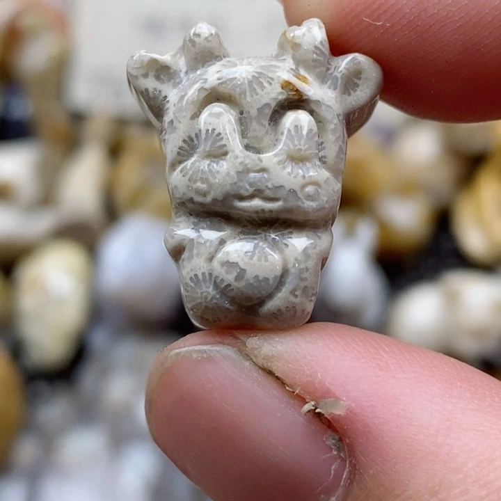 颈饰未镶嵌硅化珊瑚（珊瑚玉）小