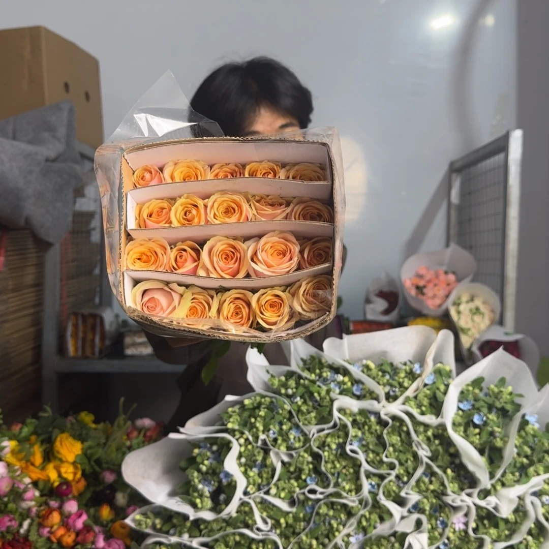 迪威娜1扎。