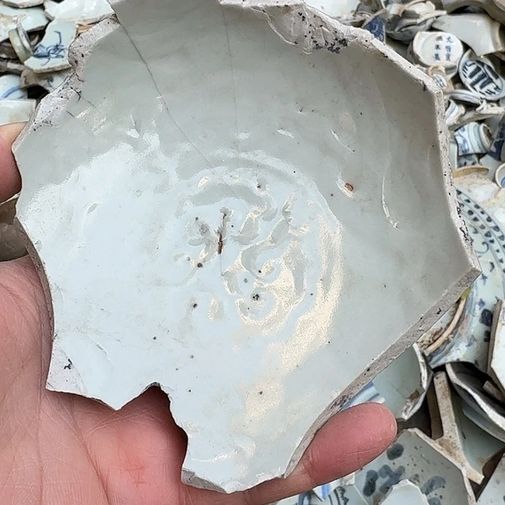 d***o瓷片瓷片标本，顺丰包邮