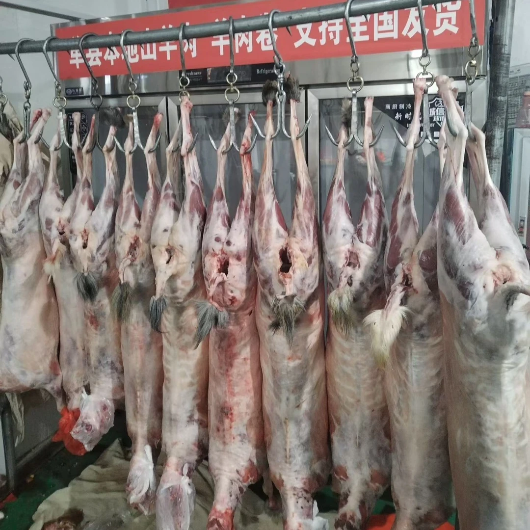 单县羊肉青山羊肉白山羊肉羊前腿羊后腿羊排半只整只纯干货无膻味