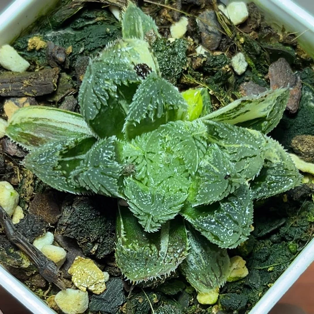 恭喜发财大吉大利878