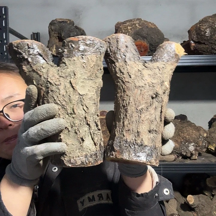 S***་香榧木火琉璃的故事是一个