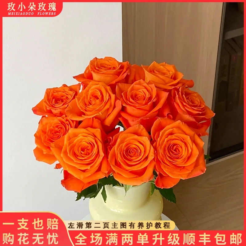 【北方玫小朵玫瑰&国王日】花期持久 产地直发 一单韵达两单顺丰
