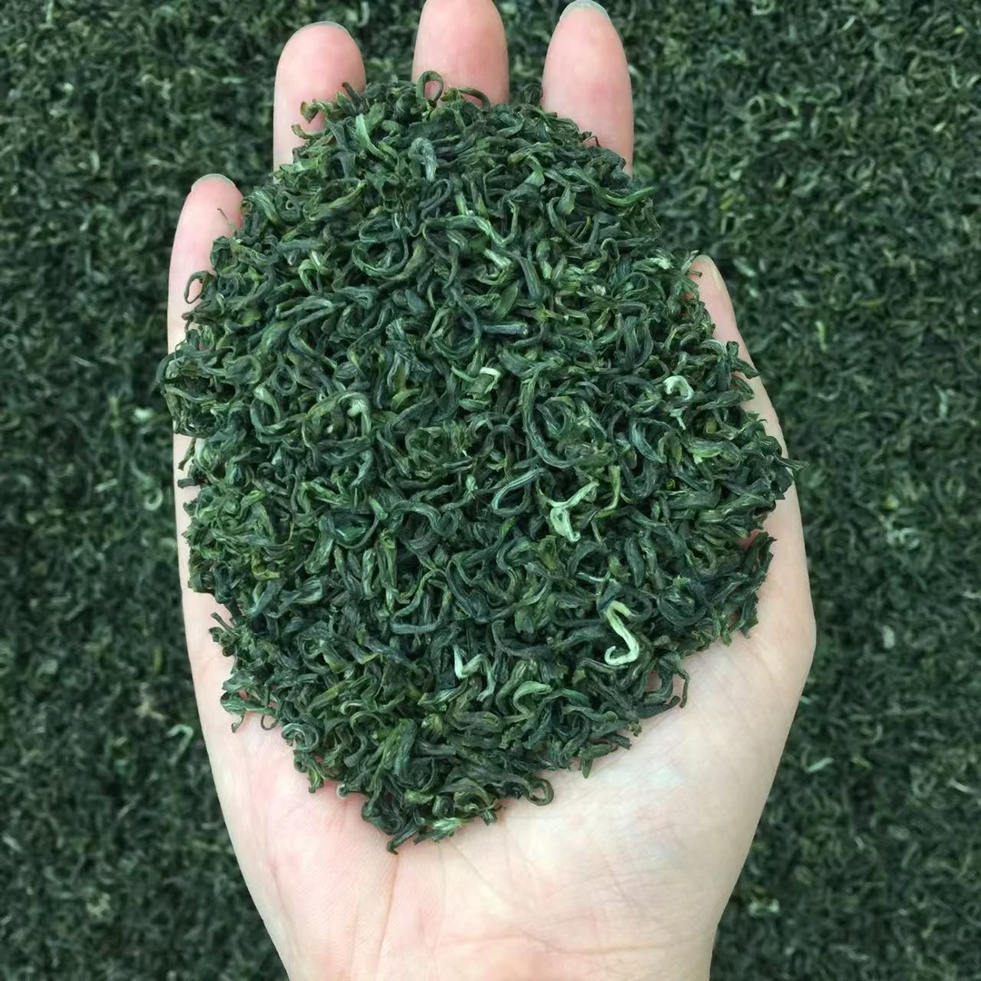 shuyexiang/蜀叶香25年新茶四川万源绿茶毛峰散装248g
