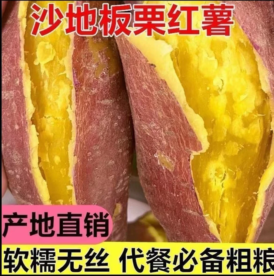 1 新鲜现挖沙地板栗红薯粉糯香甜粗粮代餐美食