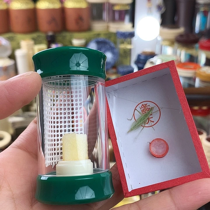 火***车两只虫不要过虫器啊啊啊啊啊