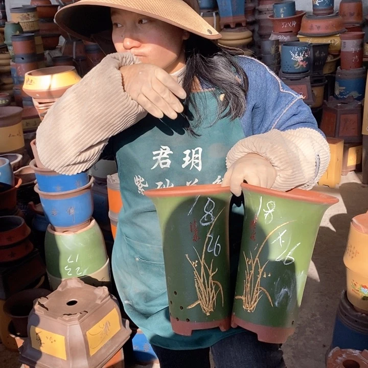 紫砂花盆紫砂花盆盆栽花卉