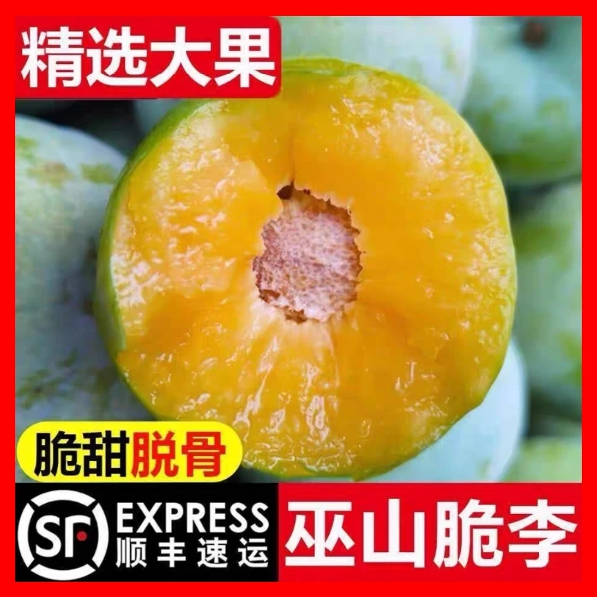 【曹美丽专属】巫山脆李 正宗曲尺脆李  脆甜脱骨