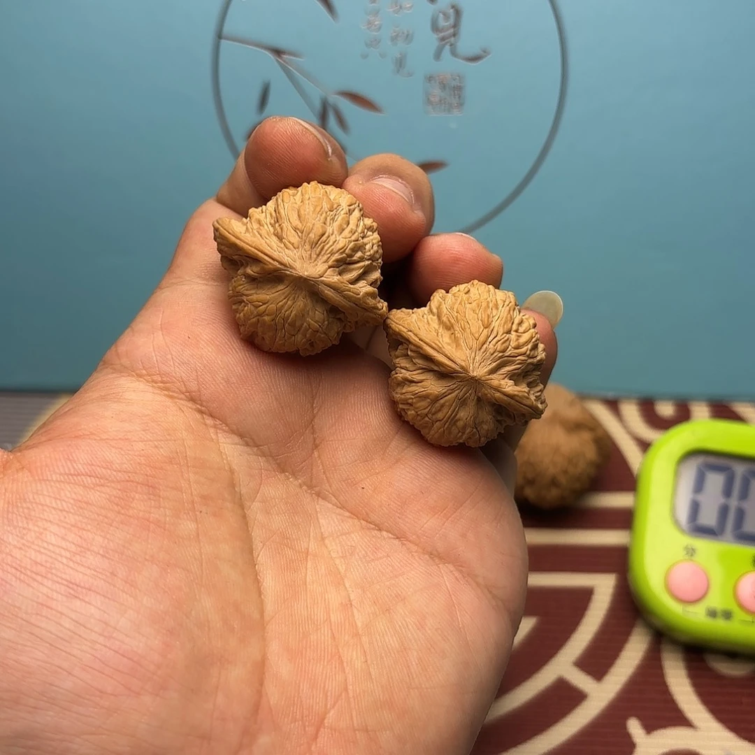 核桃01号 35尺小磨盘