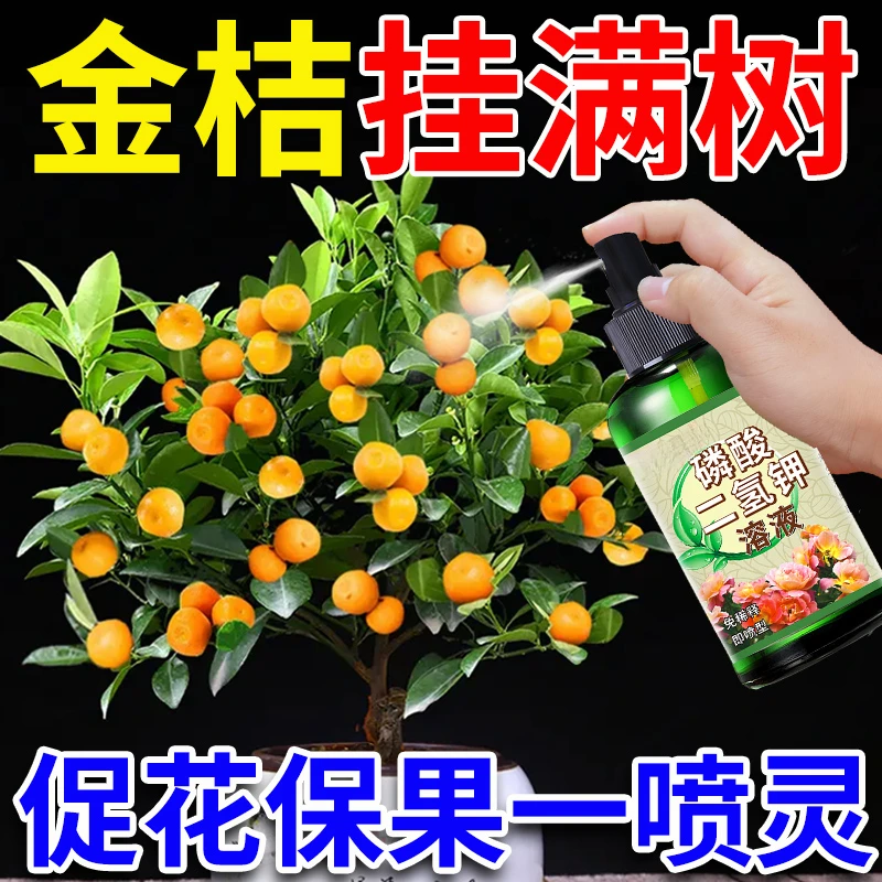 金桔盆栽专用浓缩营养液促开花防黄叶落果有机植物喷施坐果种植