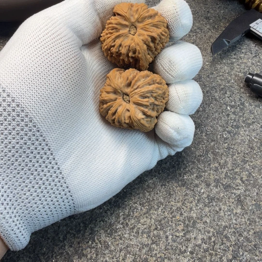 麻核桃南疆石