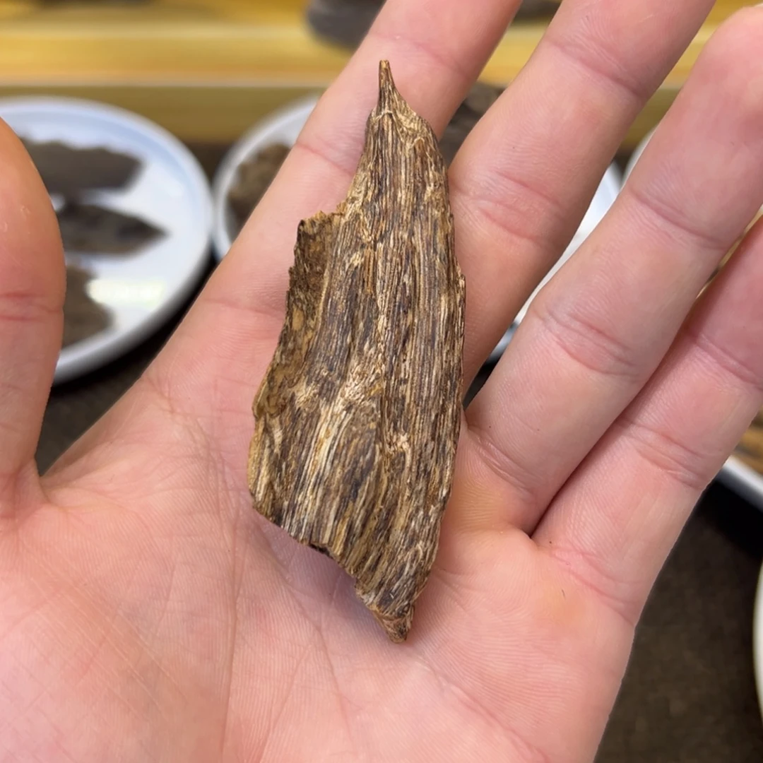 香港红土树根7.1g