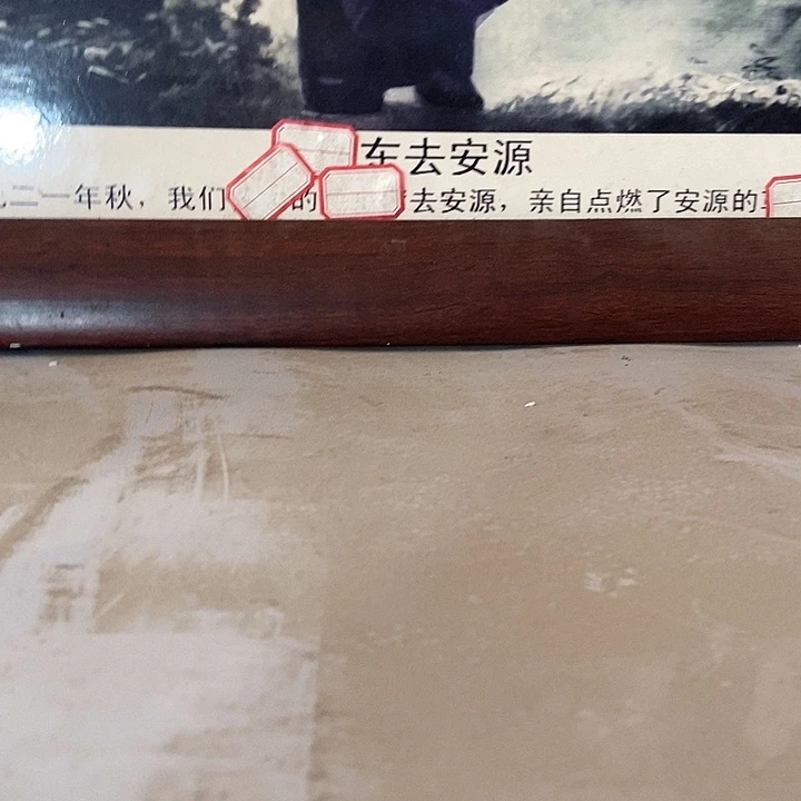 马***烯瓷片zvccghjhggbbvgvbhzc