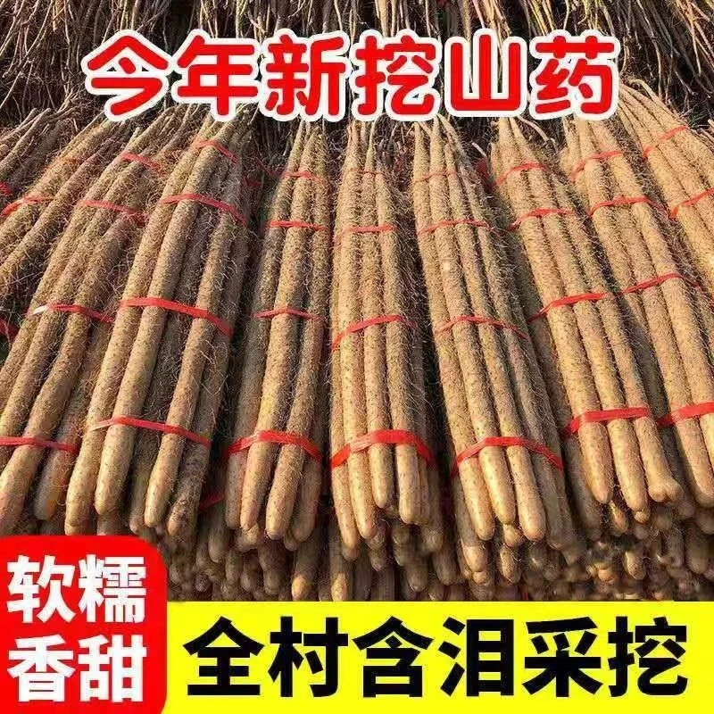 正宗铁棍山药新鲜现挖农家自发净重5斤装长80厘米—90厘米（大果王）